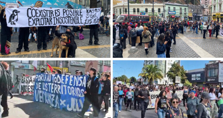 Se registran movilizaciones luego que el Gobierno retirara decenas de decretos medioambientales