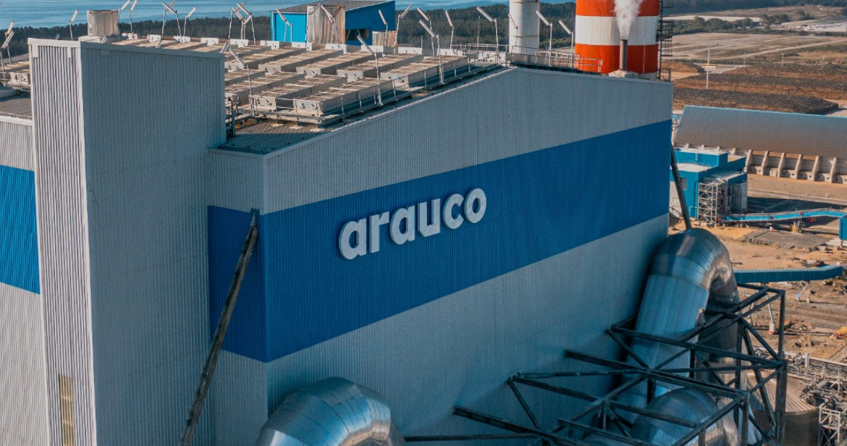 Proyecto con que Arauco deslizó críticas a la permisología en Chile lleva alrededor del 50% de avance