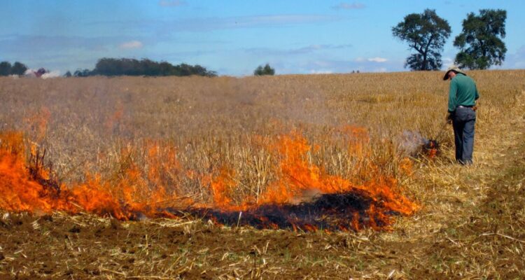 Conaf autoriza desde este jueves inicio anticipado de quemas controladas en la región de Los Lagos