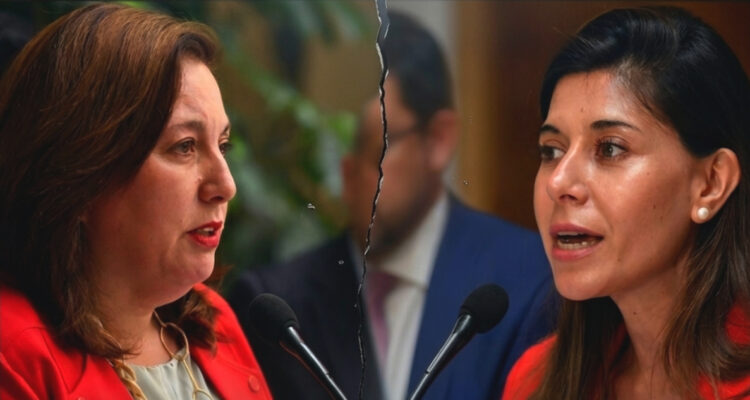 Quiebre del PS en el Senado: Vodanovic desmarca a la bancada de duras críticas de Cicardini a Quiroz