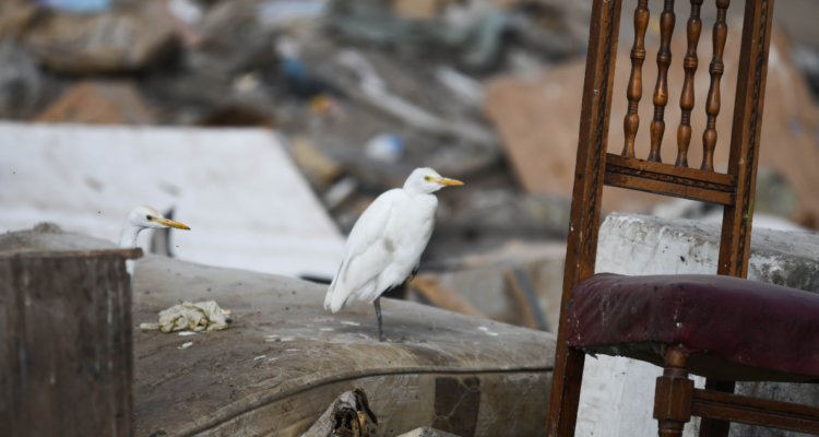 Gobernador de Los Ríos confirma que puesta en marcha de relleno sanitario podría adelantarse para 2028