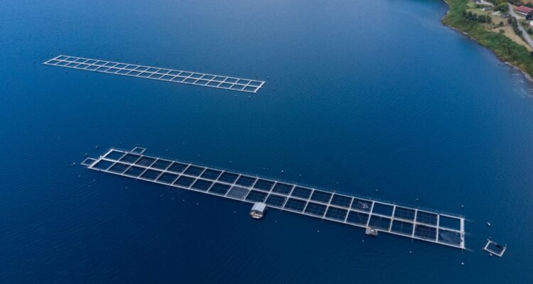 CONTEXTO | Agencia UNO