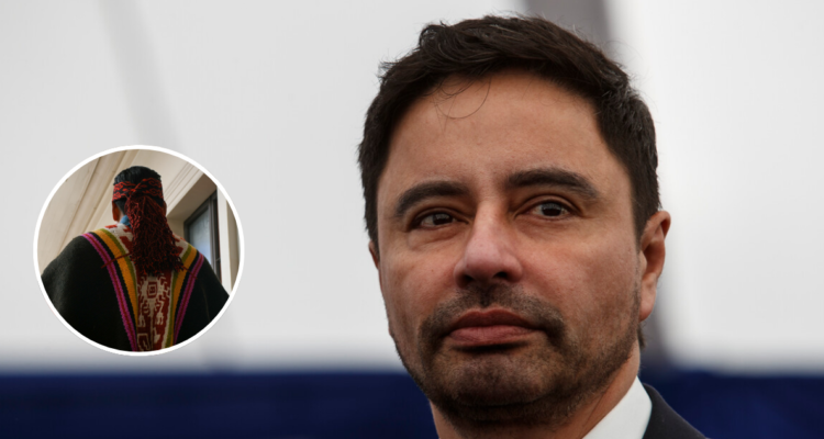 Representantes mapuche critican dichos de Carter sobre restitución de tierras: “No somos una comuna”