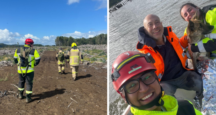Rescatan a hombre de 59 años extraviado en sector rural de Ancud: lo acompañaba su mascota