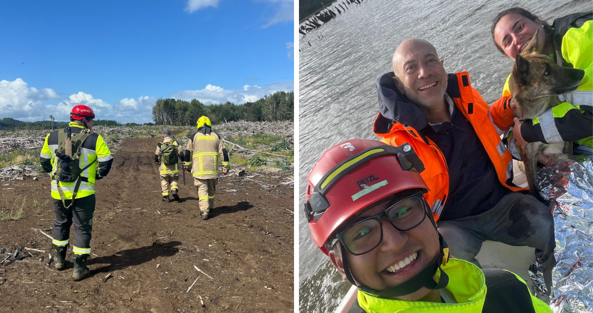 Rescatan a hombre de 59 años extraviado en sector rural de Ancud: lo acompañaba su mascota
