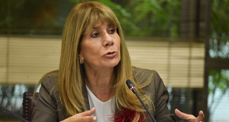 Rincón por alza de gas licuado: “Todas las medidas que puedan evaluarse van a estar encima de la mesa”