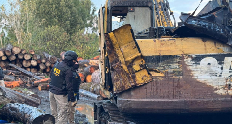 Robo de madera en Chonchi: 8 de 25 imputados quedan con arresto domiciliario y formalización continúa