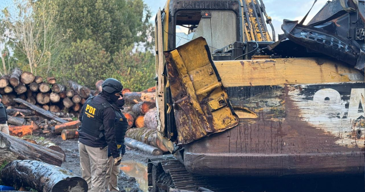 Robo de madera en Chonchi: 8 de 25 imputados quedan con arresto domiciliario y formalización continúa