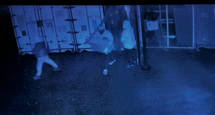 Roban más de 1 tonelada de salmón destinado a la alimentación de estudiantes en provincia de Chiloé