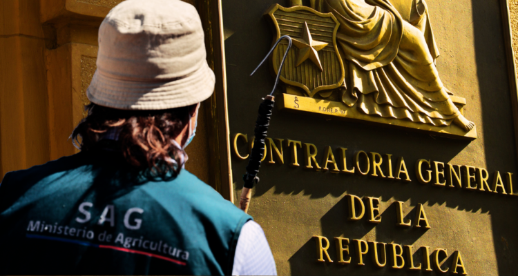 Contraloría pide explicaciones al SAG por sueldo VIP de periodista promovida por exdirector Guajardo