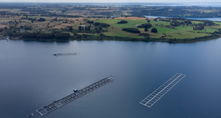 Alcalde de Frutillar propone plazo de 3 a 5 años para retiro de salmoneras en aguas de Lago Llanquihue
