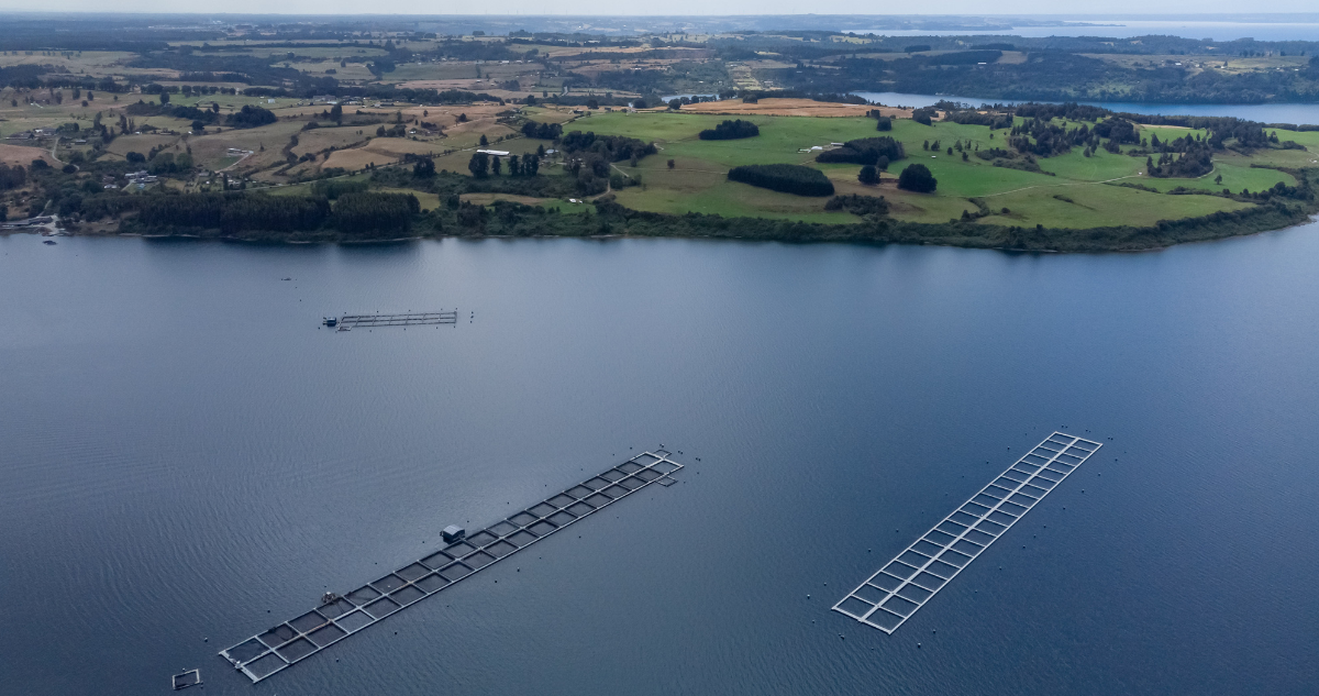 Alcalde de Frutillar propone plazo de 3 a 5 años para retiro de salmoneras en aguas de Lago Llanquihue