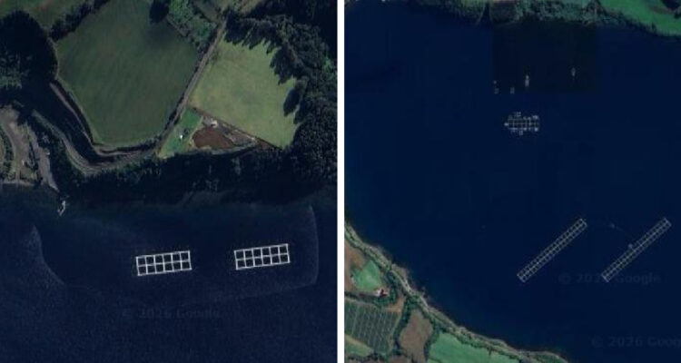 Alcalde de Frutillar y fallida reunión por salmoneras: “Pesqueras en el lago Llanquihue deben salir”