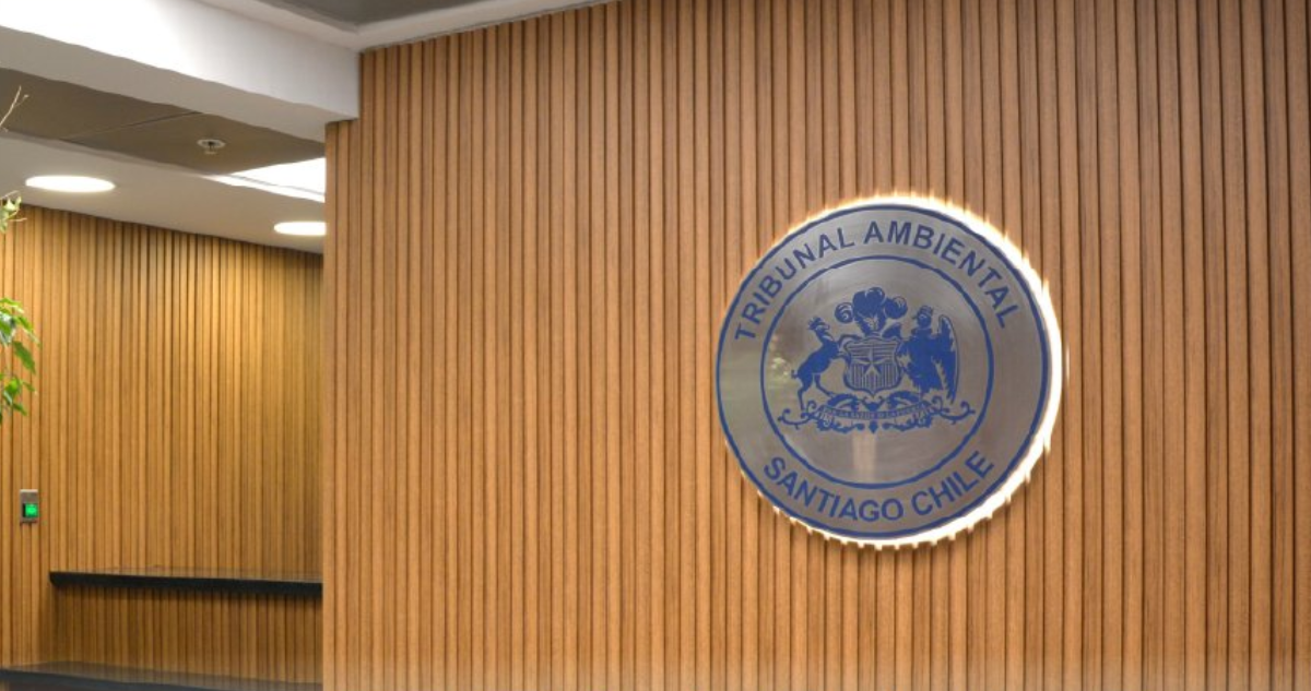 Saneamiento Las Salinas: Tribunal realiza audiencia por reclamaciones de municipio de Viña del Mar