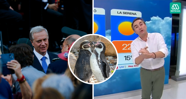 José Antonio Kast, Alejandro Sepúlveda y Pinguino de Humboldt