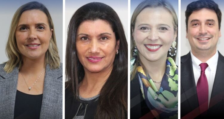 Gobierno nombra a cuatro primeros seremis en Los Lagos: Medio Ambiente, Educación, Salud y Vivienda