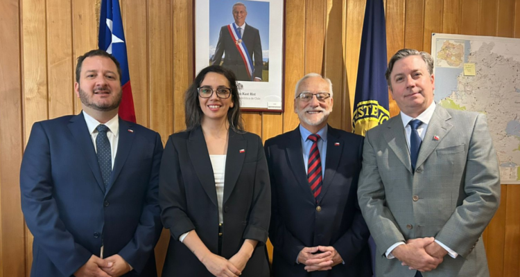 Educación, Medio Ambiente y Economía: Gobierno designa a primeros seremis en región de Los Ríos