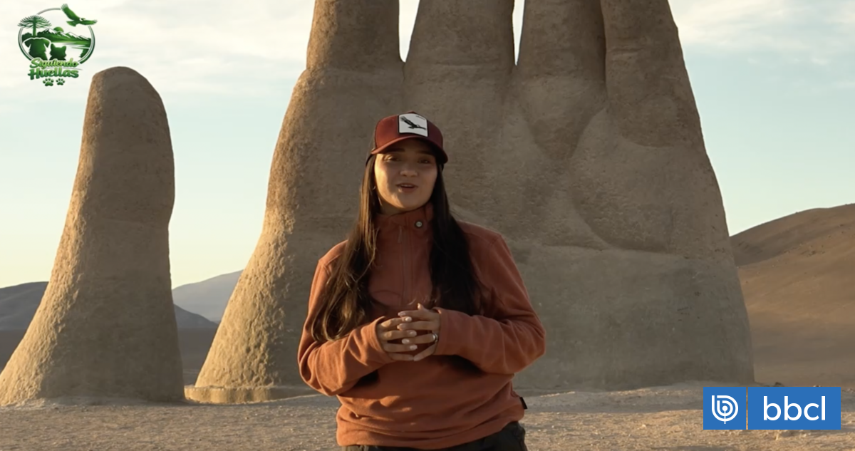 Siguiendo Huellas: Junto  a @turismo.physalus en la Reserva Marina Isla Chañaral