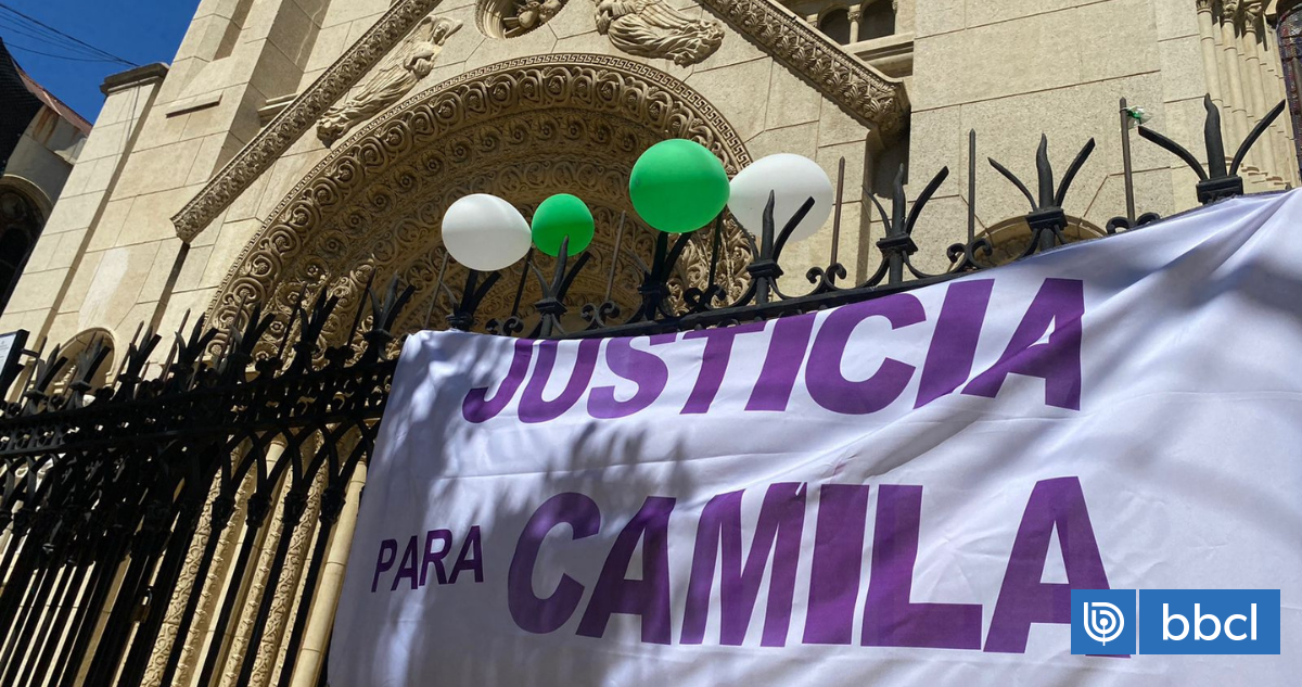 Case of Camila Ponce: Government to file a lawsuit for the death of young woman run over in Valparaíso.