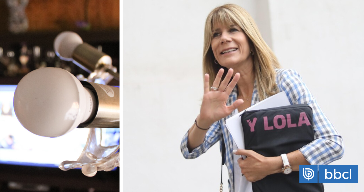 Gobierno confirma que estudian cómo abordar próxima alza de la luz: "Esperamos tener buenas noticias"