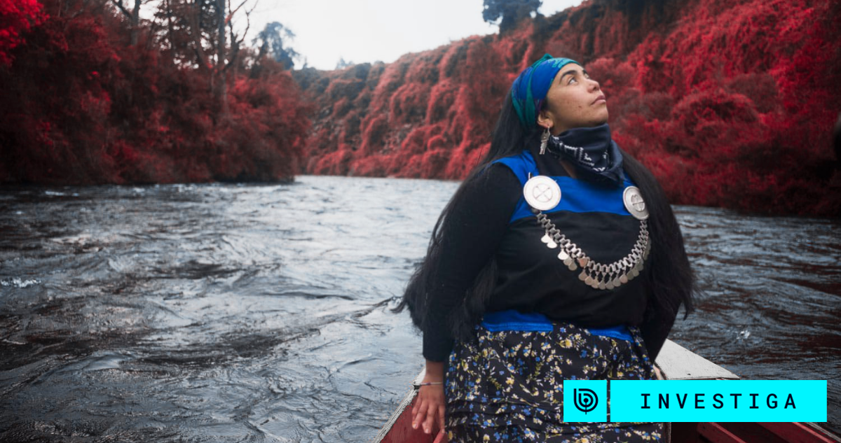 "Fue negligente en su actuar": los relatos reservados que complican a machi indagada por rito fatal