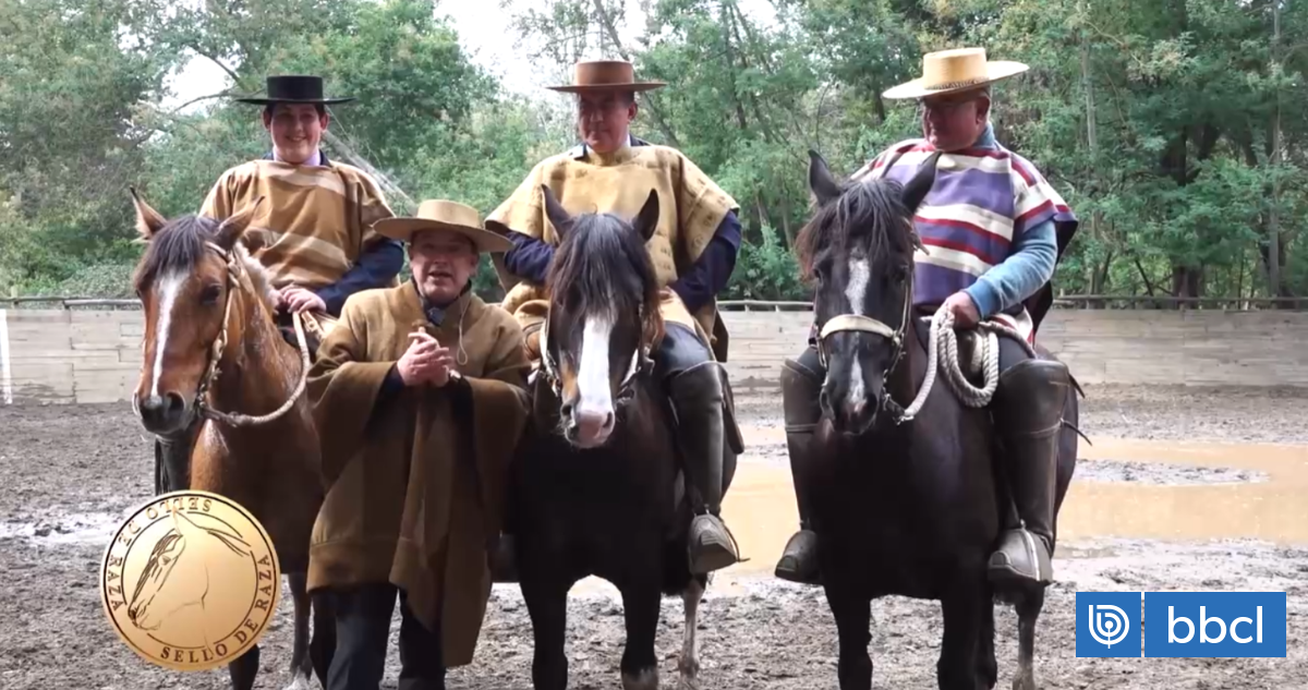 Criadero Santa Bernardita en Sello de Raza