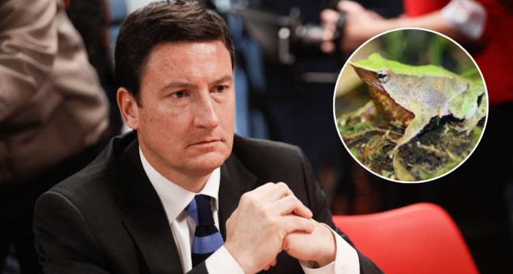 Squella (REP): "Si las ranitas alguien las considera políticas de Estado, bueno, acá cambió la mirada"