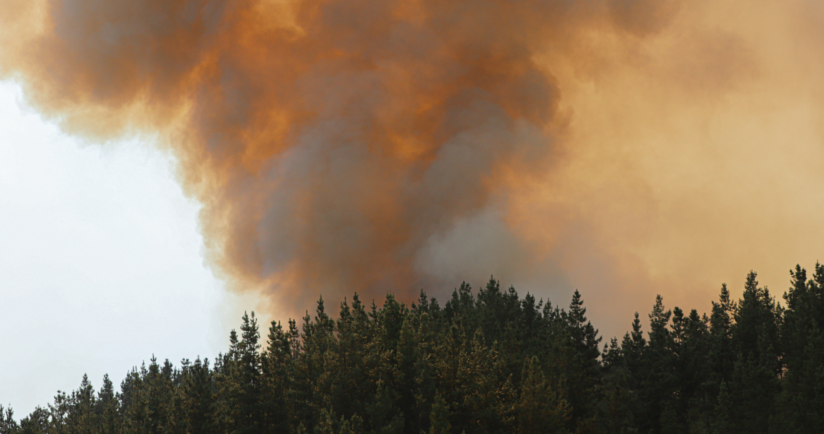 Incendio forestal