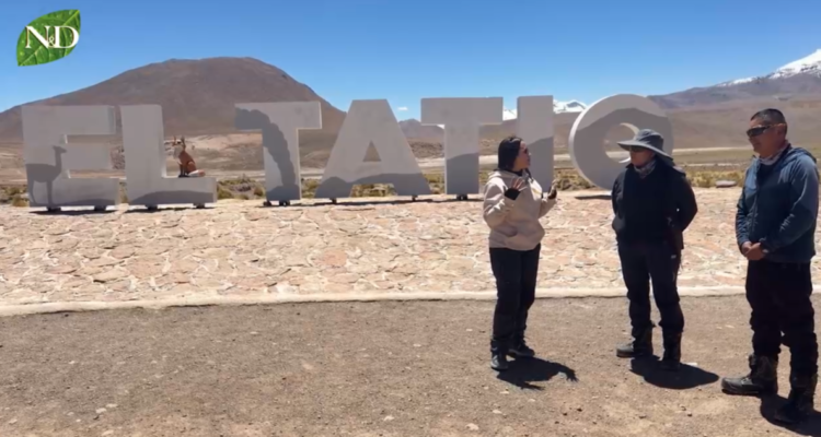 Siguiendo Huellas: Geysers del Tatio
