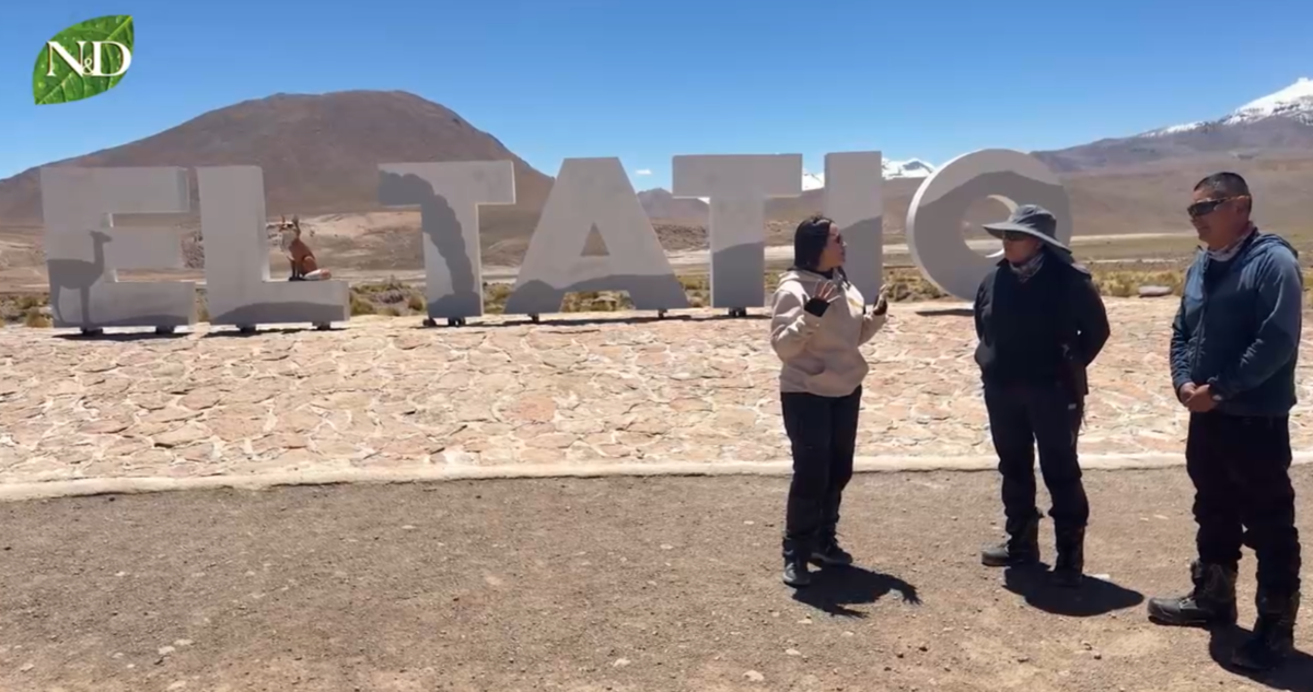 Siguiendo Huellas: Geysers del Tatio