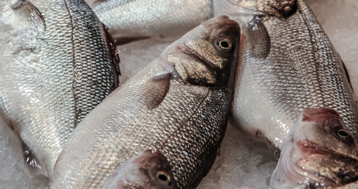 Tilapia, entre los pescados menos recomendados del supermercado.