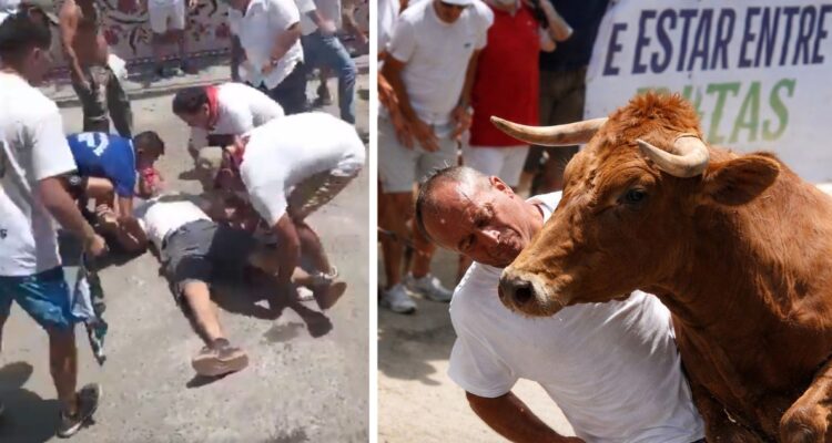 VIDEO | Toro deja K.O a hombre tras embestirlo a toda velocidad en controvertida corrida en Perú