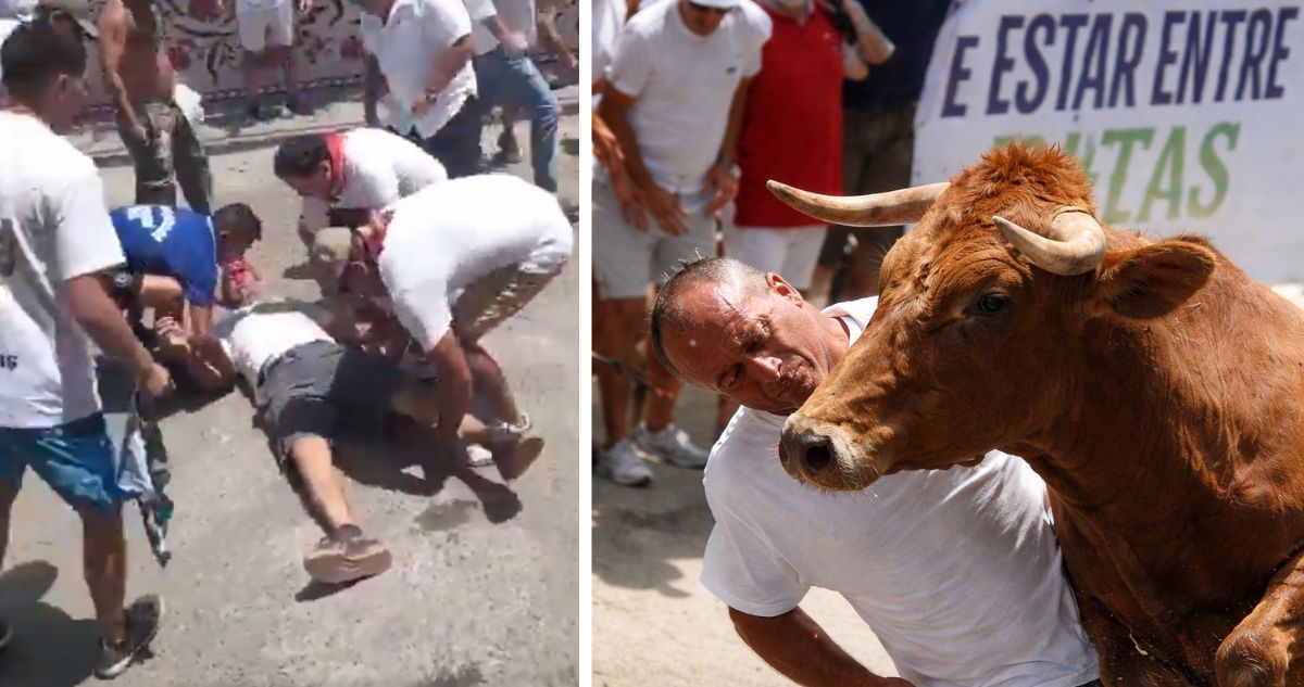 VIDEO | Toro deja K.O a hombre tras embestirlo a toda velocidad en controvertida corrida en Perú