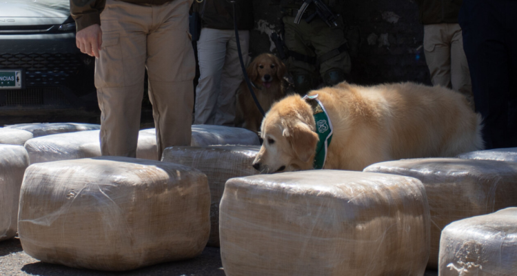 CONTEXTO: AGENCIA UNO.