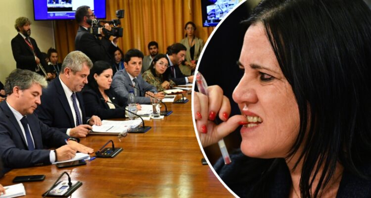 Difícil debut de Steinert en el Congreso: polémica salida de exjefa de la PDI y recortes abren flancos