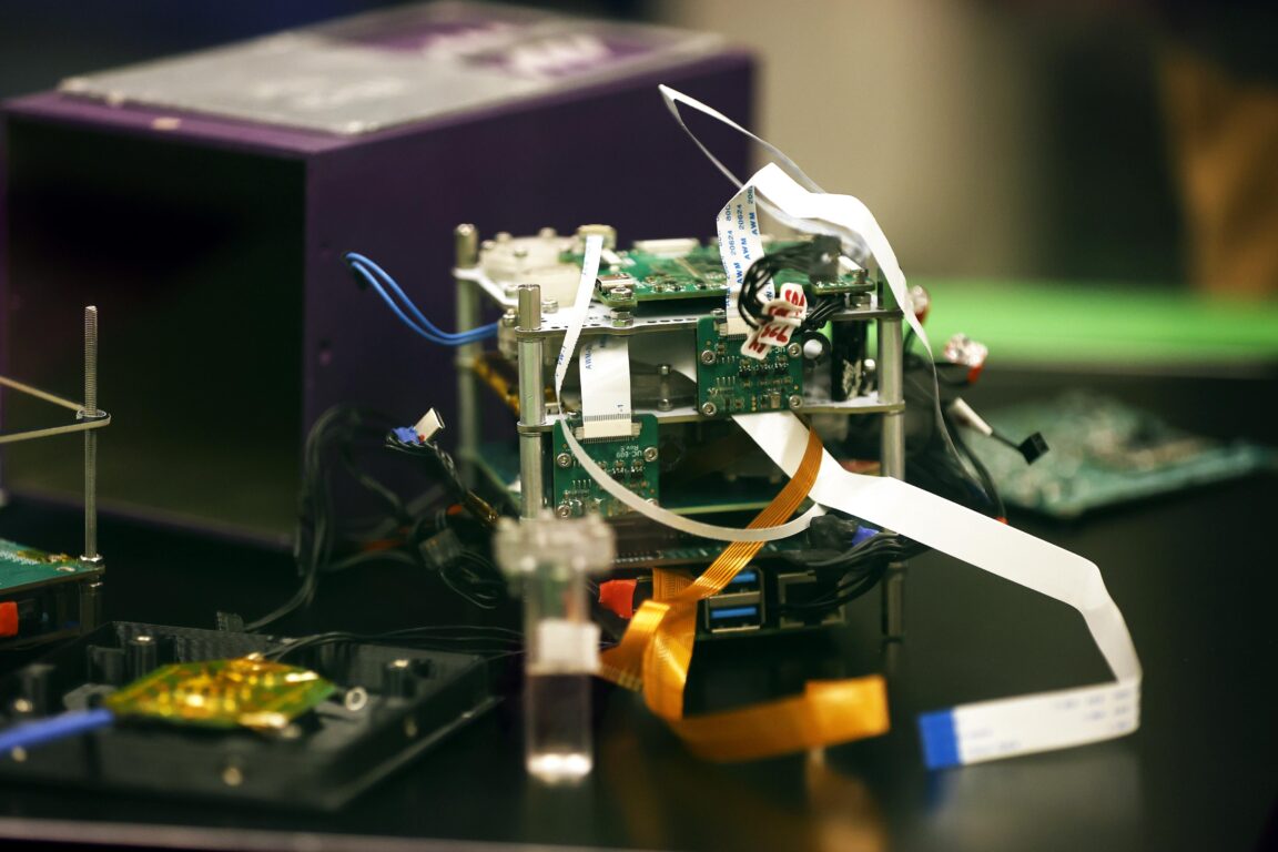 Muestra de los microorganismos que enviarán al espacio