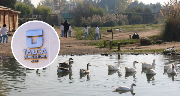 Universidad de Talca cierra su Jardín Botánico tras detectarse influenza aviar en aves