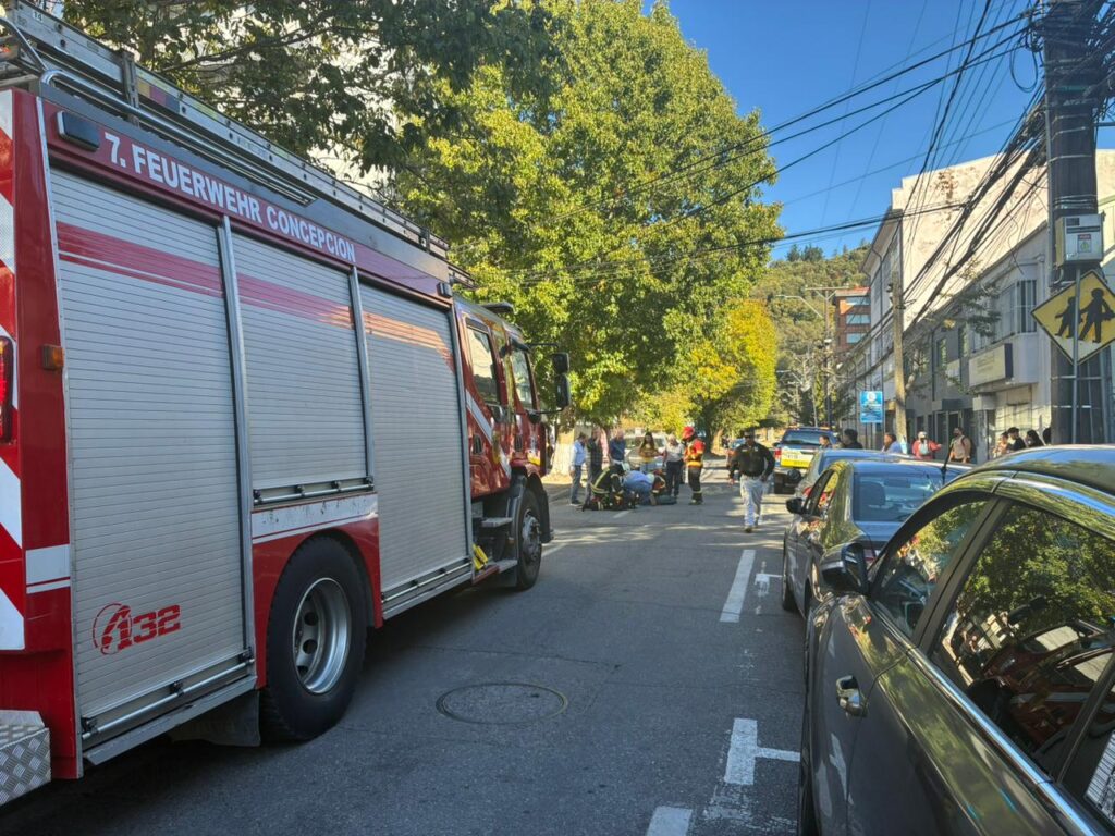 Reconocida académica de la UdeC, Paulina Astroza, sufre grave atropello en Concepción
