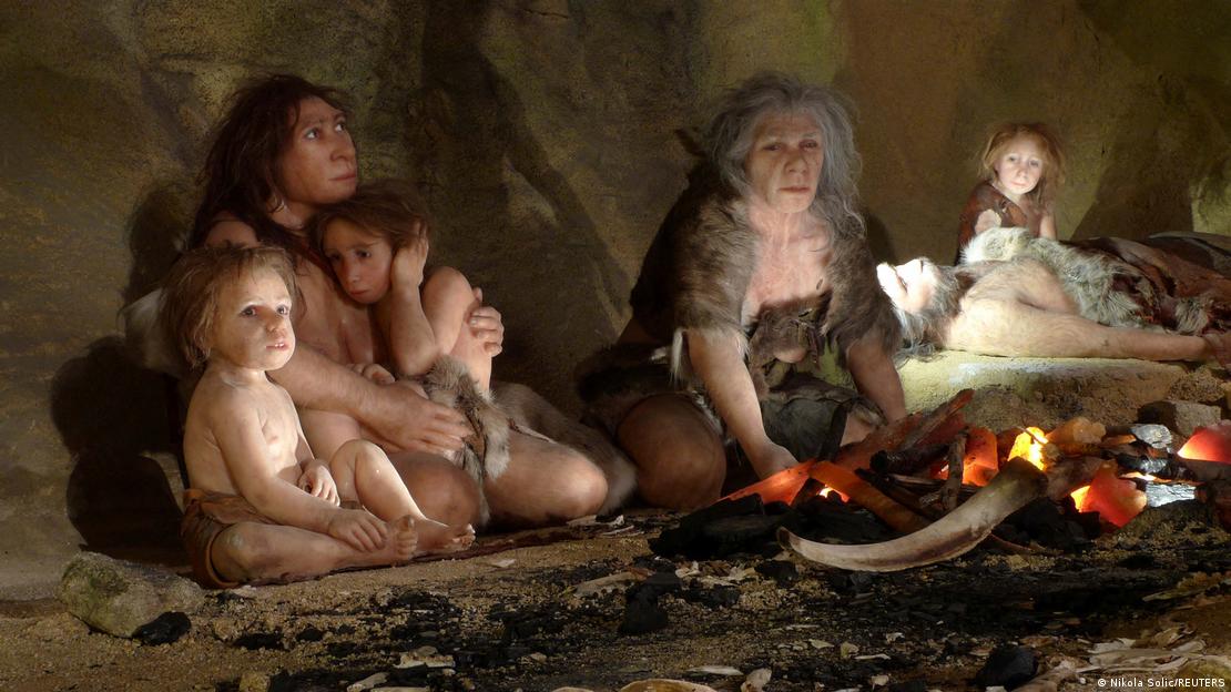 Bebés neandertales crecían mucho más rápido que el humano actual: a los 6 meses se veían de 14