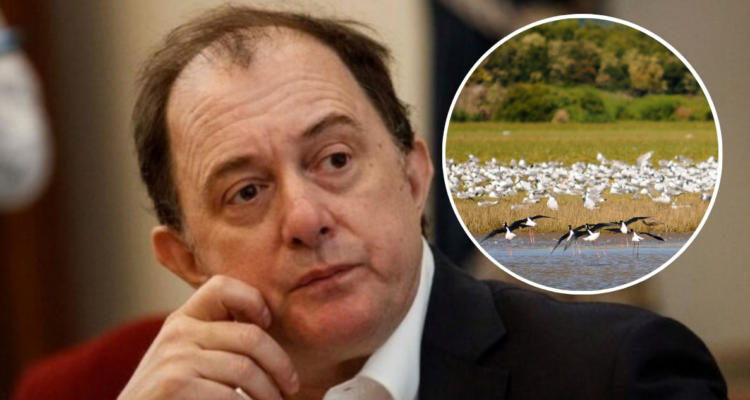 "La ’burrocracia’ mata el sueño de la casa propia": Poduje carga contra Ley de Humedales y De Urresti