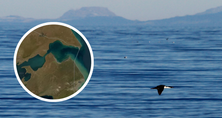 Estrecho de Magallanes