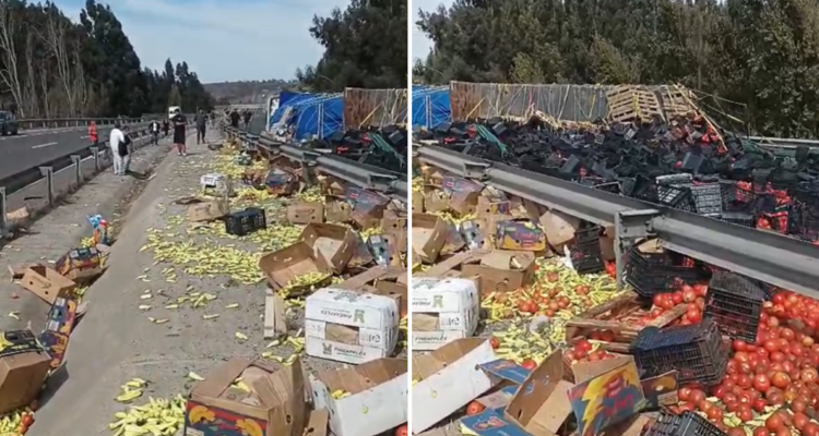 Accidente en Ruta 5 Norte camión con mercadería volcó y mantiene transito cortado en Longotoma