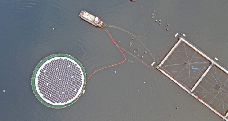 Representantes de distintas industrias conocen en terreno nuevas tecnologías de acuicultura en Chile