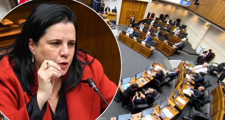 ¿Y la agenda de seguridad del Ejecutivo? El debate en el Senado que salpica a ministra Steinert