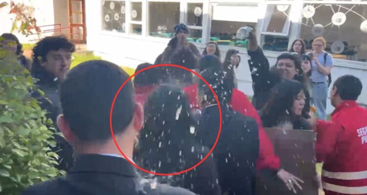 Gobierno anuncia querella contra responsables de agresión a ministra Lincolao en Valdivia