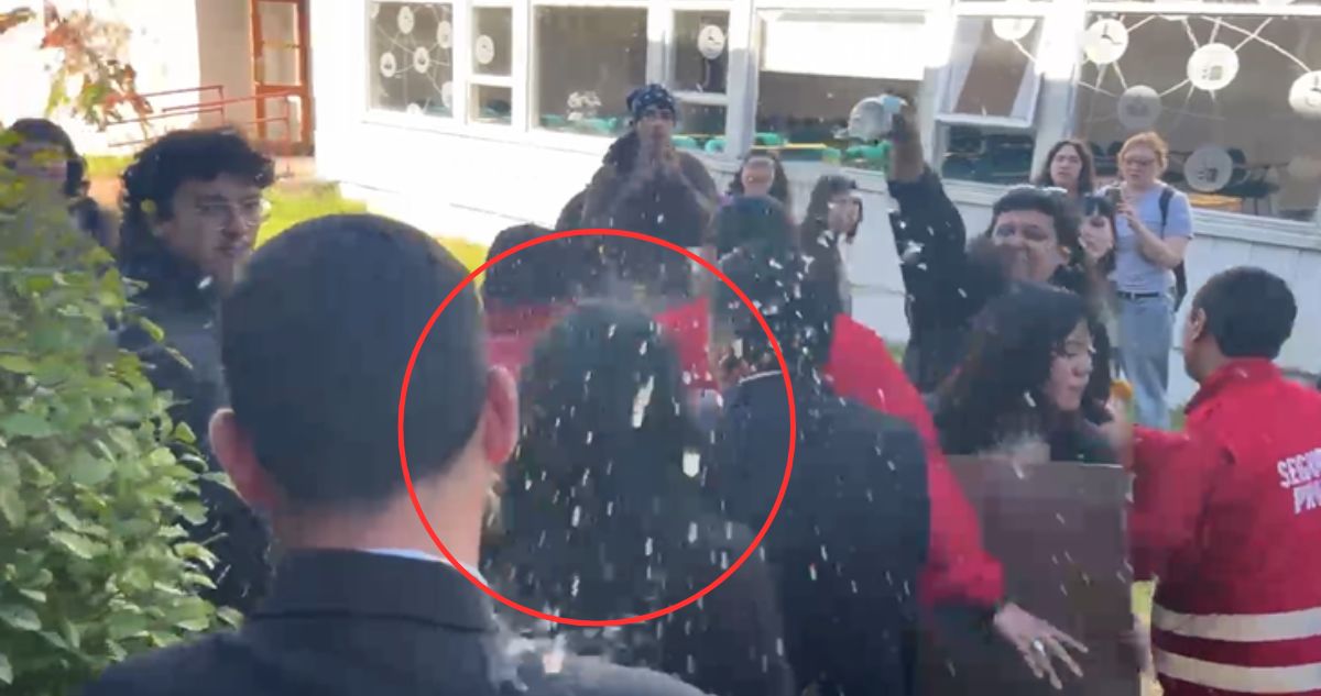 Gobierno anuncia querella contra responsables de agresión a ministra Lincolao en Valdivia