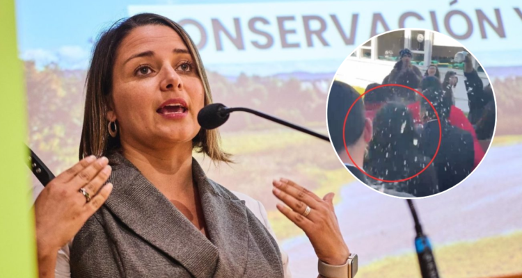 Río en línea | Captura de video