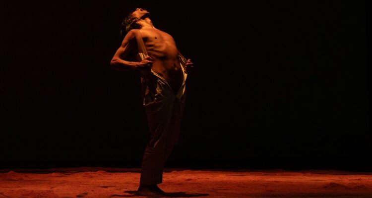 Festival de Danza Movediza