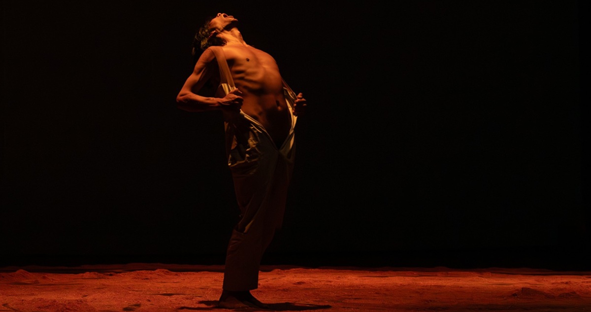 Festival de Danza Movediza