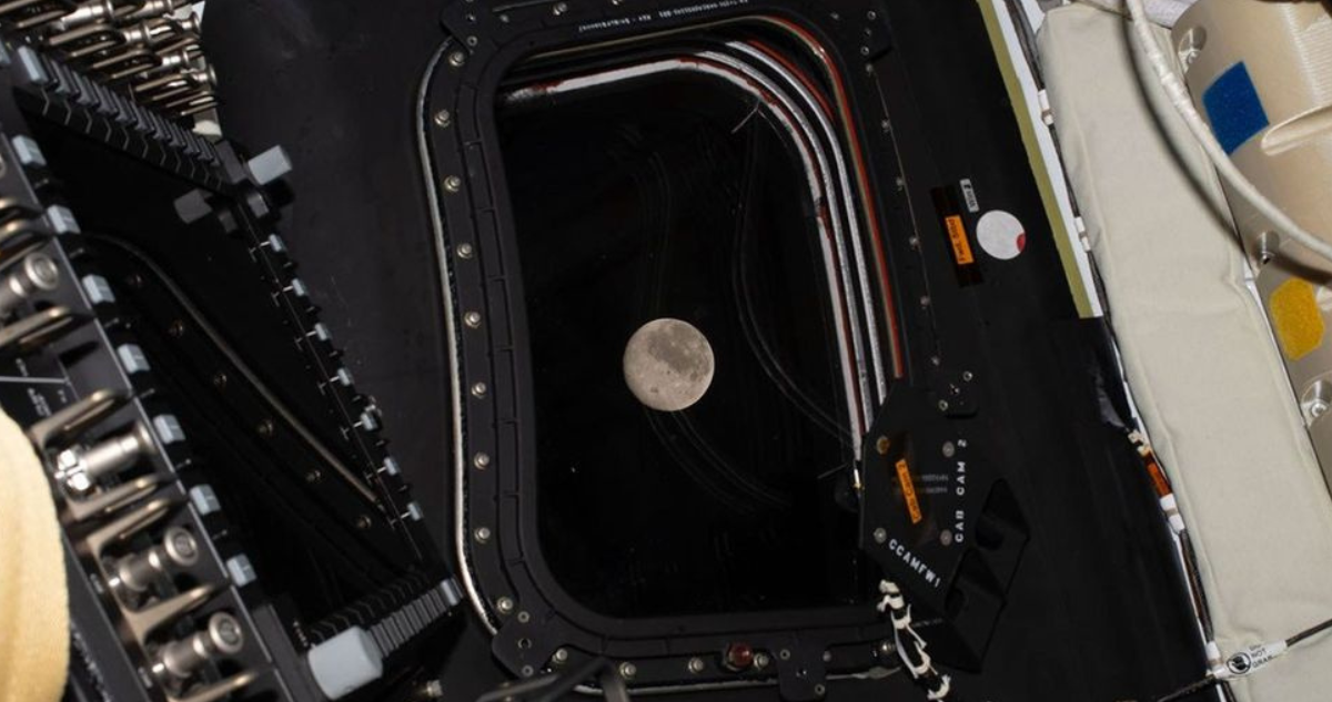 Tripulación de Artemis II ya sobrevuela la luna